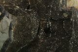 Septarian Dragon Egg Geode - Black Crystals #137947-1
